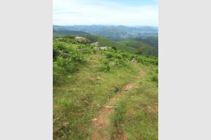 Chemin qui mne au Mondarrain dans le Pays Basque