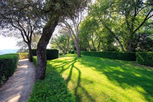 Balade dans les jardins de Marqueyssac
