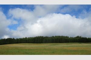 Fort face  Aubrac, sur le Plateau de l'Aubrac