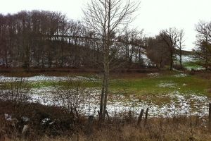 Paysage Aveyronnais  ct de Rodez