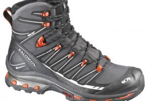 Salomon Cosmic 4D 2 GTX Aspahalt/ Black/Tom