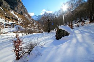 Randonnée dans le bois de Saint Savin à côté du cirque de Gavarnie Randonnée dans le bois de Saint Savin à côté du cirque de Gavarnie