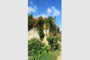 Village trs fleuri de Sainte Eulalie d'Olt
