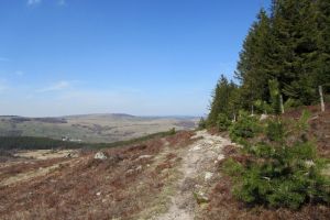 Randonne au Col de Bonnecombe et alentours sur l'Aubrac ct Lozre