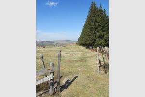 GR de Pays du Tour des Monts d'Aubrac, du ct Lozre, prs du Col de Bonnecombe