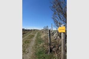 Sentier de l'Aubrac: chemin de randonne ct Lozre, sur le Plateau de l'Aubrac