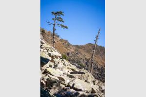 Le sentier monte dans les rochers