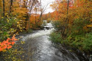 L'automne au Qubec