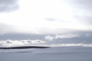Paysage d'Aubrac sous la neige, vent glac