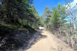 Dbut de la randonne vers le piedestal