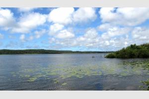 L'tang de Lon, entre du courant d'Huchet