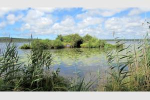 L'tang de Lon, dbut du courant d'Huchet