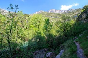 Sentier dans le cirque de Navacelles