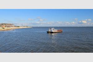 Balade le long du bassin d'Arcachon