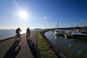 Balade en vlo  Andernos