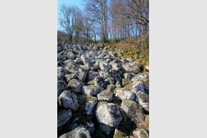 Coule de lave de Roquelaure