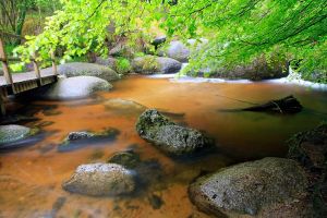 Mare aux Sangliers