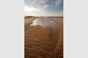 Balade sur la plage  la pointe du Cap Ferret