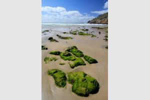 Plage de la baie des Trpasss en Bretagne