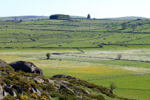 Paysage d'Aubrac en Lozre