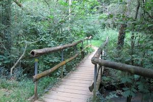 Balade au bord du lac de Christus dans les Landes