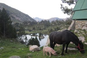 Refuge le Bastanet