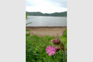 Massif du Mont Dore : le Lac de Gury