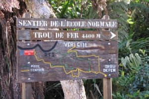 Randonne  travers la fort de Blouve