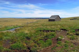 Buron sur l'Aubrac, en Lozre