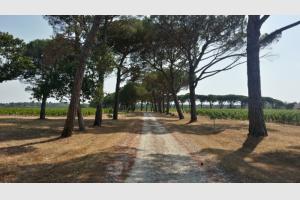 Balade dans le Mdoc