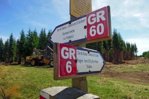 GR 6 et GR 60 se croisant sur le plateau de l'Aubrac