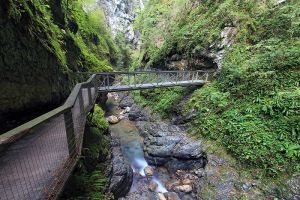 Passerelle dans les gorges de Kakuetta