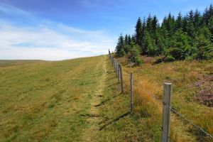 Randonne sur Aubrac, au Signal de Mailhebiau