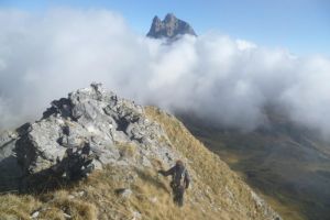 Pne de la Glre