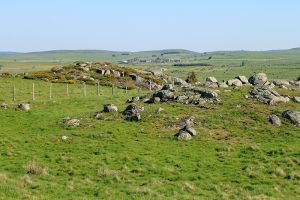 Herbe et rochers sur le plateau de l'Aubrac