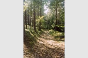 Craponne sur Arzon