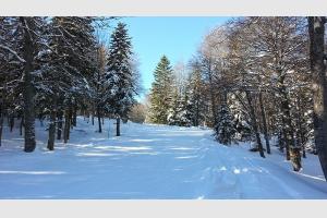 Journe de ski alpin sur le domaine Barges-La Mongie
