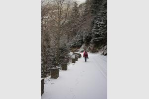 Monte dans la neige vers le lac de l'Oule