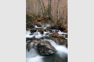 Cascades dans les Pyrnes (fort du Bu)