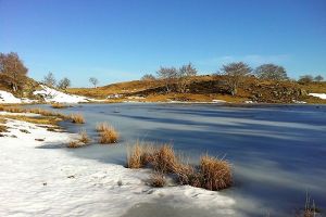 Balade et gourmandise sur le Plateau de l'Aubrac