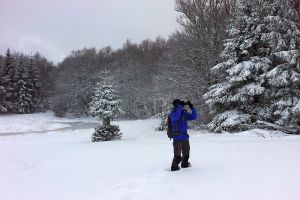 Randonne sur l'Aubrac dans la neige