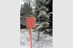 Sentier balis de raquettes  neige