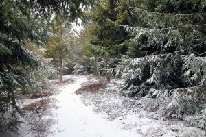 Progression dans la neige en Aveyron