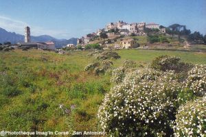 San Antonino