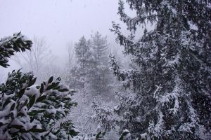 Paysage d'Aveyron sous la neige d'hiver