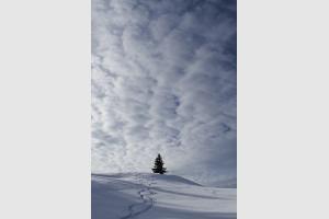 Entre ciel et neige