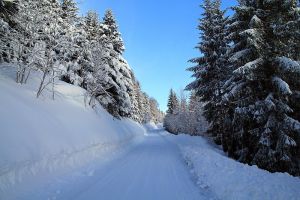 La route qui monte vers Chez Louisette