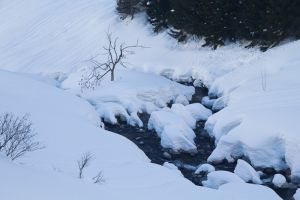 La neige est tombe en abondance