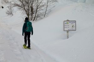 Randonne en raquettes  neige