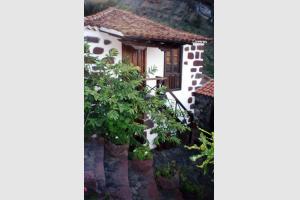 Maison Masca